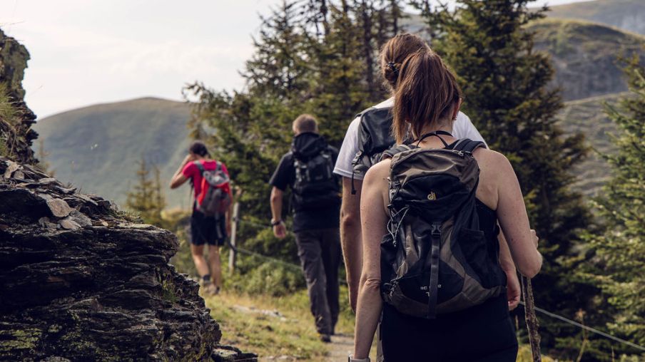 Wandergruppe geht einen Schotterweg rauf