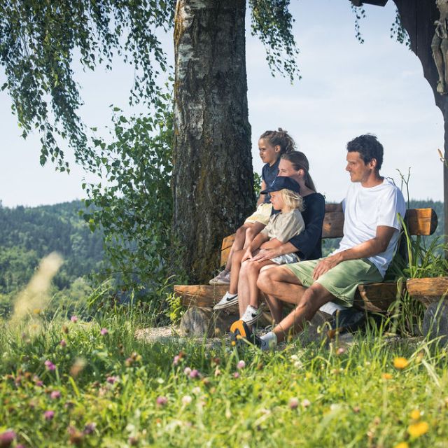 Familie mit zwei Kinder sitzen auf der Bank im Grünen 